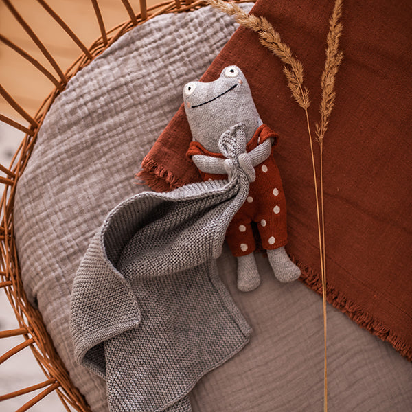 Graues Kuscheltuch mit Frosch von Ava & Yves - Perfektes Geschenk zur Taufe oder Geburt